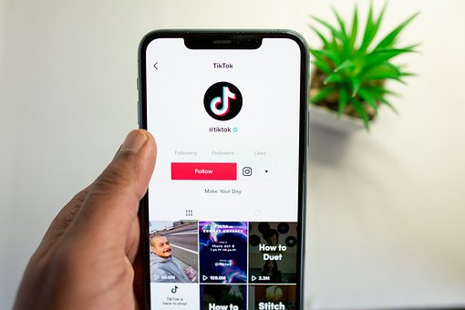 Is there an online tool that can help me download videos from Tik Tok?