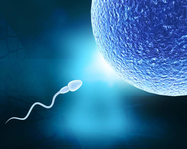 How Stress Affects Men’s Sperm Count & What To Do About It