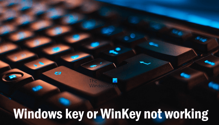 Finding windows 10 keys with Great Offers On Reddit