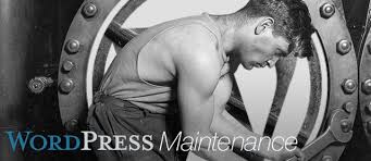 Update the user interface of your respective system using the wordpress maintenance plans