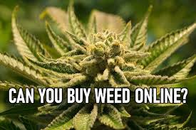 Ideas towards choosing a highly reliable internet site selling weed