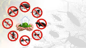 Rely on Expert local Pest Control Near Grand Prairie for Peace of Mind