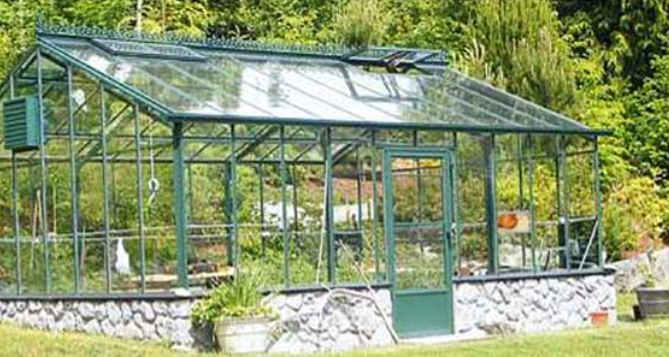 Caring For Fruit Trees In A Greenhouse