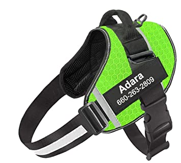 The easiest way to Make use of a No Pull Dog Harness: A Step-by-Stage Information