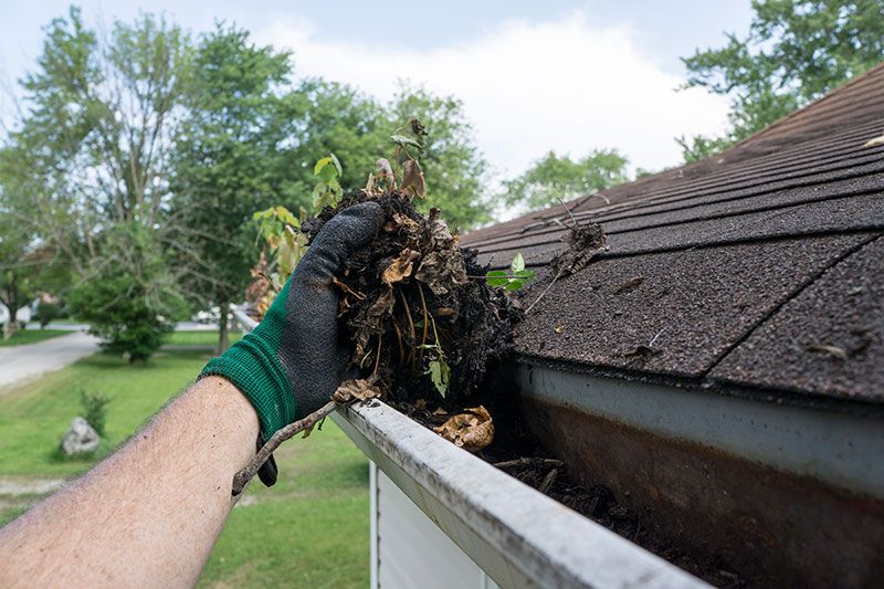 Obtain your ceilings clean with eaves cleaning assistance