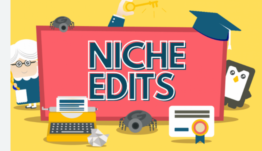 Buy Niche Edits: Driving Sustainable Growth with High-Quality Backlink Placement