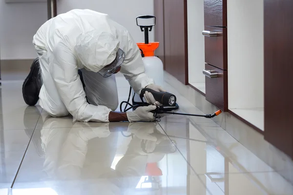 Safeguarding Your Home: The Power of Expert Pest Removal