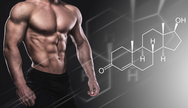Hormonal Harmony: The Integrative Path of TRT and HCG for Wellness