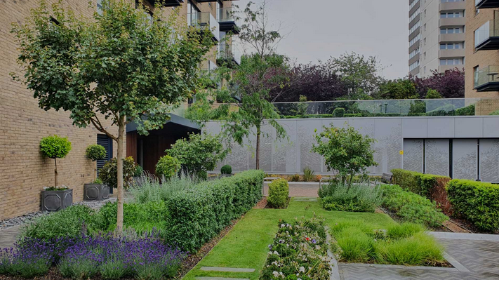 Transformative Commercial Landscape Maintenance in London