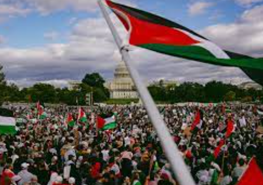 Standing United: American Muslims’ Support for Palestine