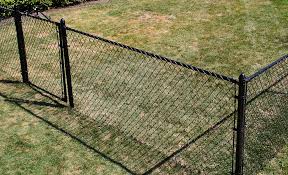 Fences and Freedom: Balancing Boundaries and Liberty